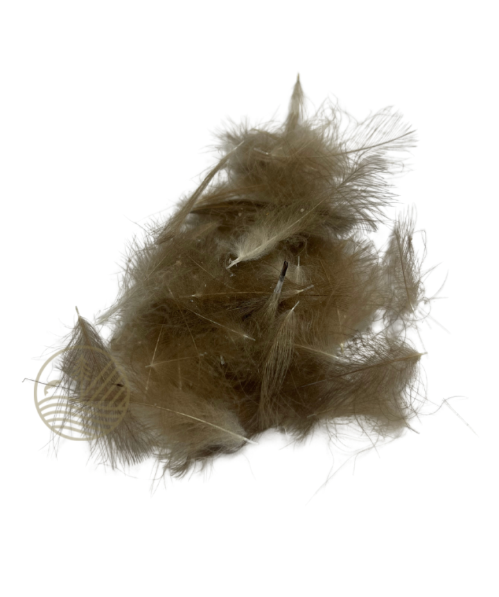 Cul de Canard FLYSCENE | PLC-PECHE.FR