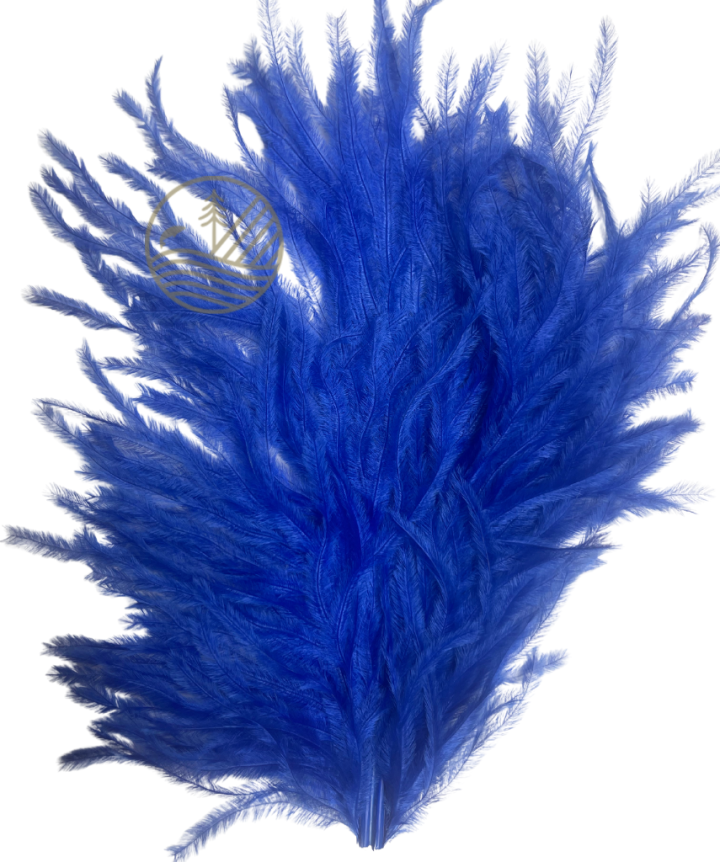 Plume d'autruche Ostrich Plumes FLY SCENE | PLC-PECHE.FR