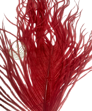 Plume d'autruche Ostrich Plumes FLY SCENE | PLC-PECHE.FR