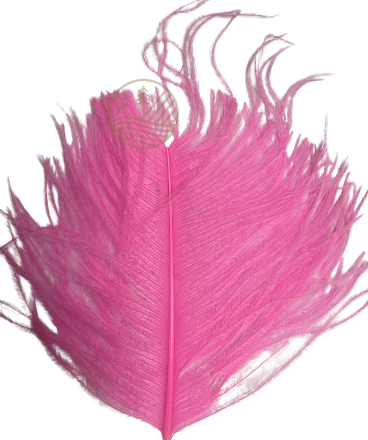 Plume d'autruche Ostrich Plumes FLY SCENE | PLC-PECHE.FR