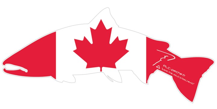 Sticker Steelhead PLC