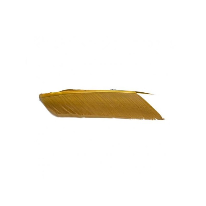 Substitut de condor FLYSCENE| PLC-PECHE.FR
