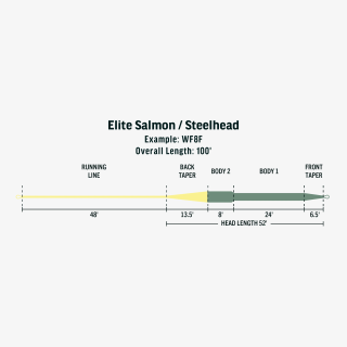 Soie RIO Elite Salmon / Steelhead WF | PLC-PECHE.FR
