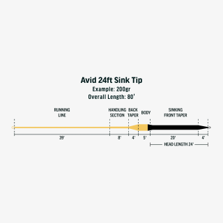 Soie RIO Avid 24ft Sink Tip | PLC-PECHE.FR