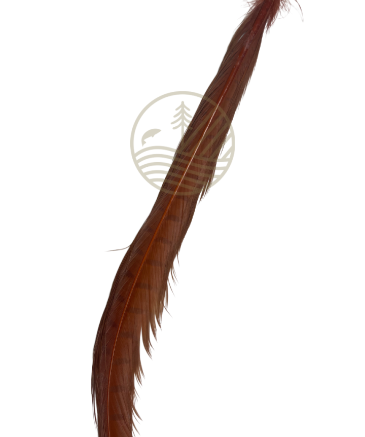 Cock Pheasant Centre Tails VENIARD | PLC-PECHE.FR