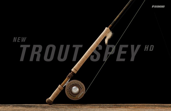 Canne à mouche SAGE TROUT SPEY HD 10´9 Soie 1