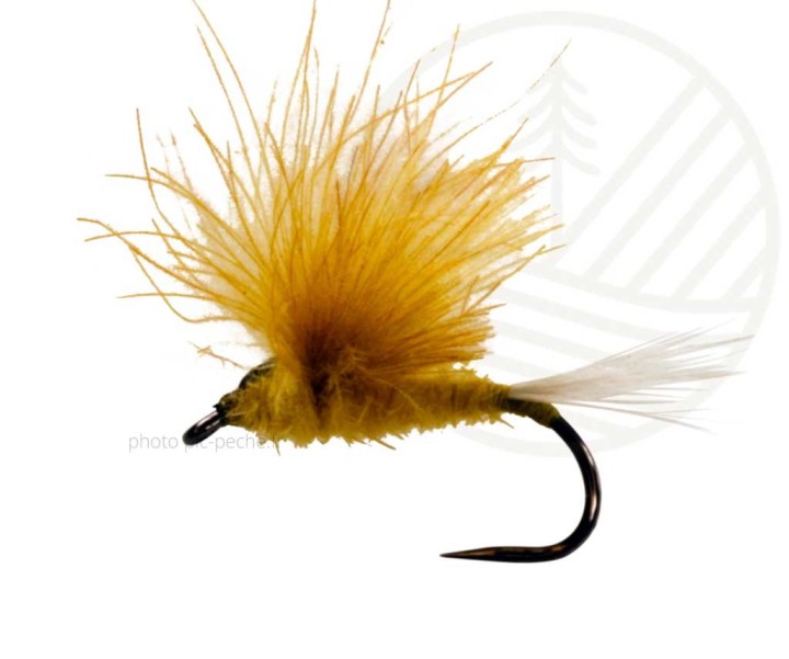 Mouches Danica Adult Yellow BL  CATCHY FLIES | PLC-PECHE.FR