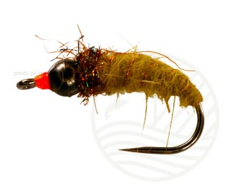 Mouche Caddis Nymph Olive/Blk Tungstene BL CATCHY FLIES | PLC-PECHE.FR