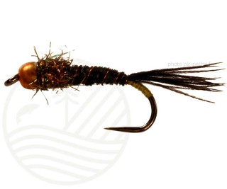 Mouche Nymph Blk/Cooper Tungstene BL CATCHY FLIES | PLC-PECHE.FR