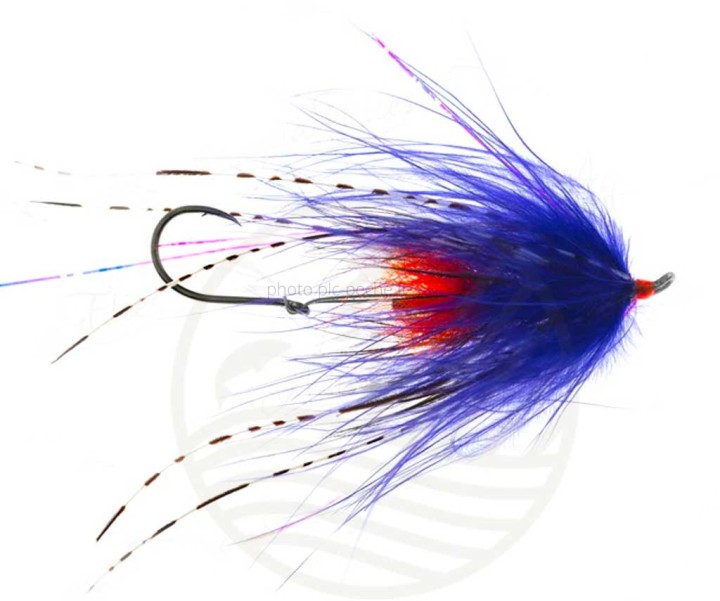 Mouche Hoh Bo Spey Purple | PLC FLY SHOP
