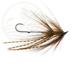 Mouche Trout Spey Intruder Olive  | PLC-PECHE.FR