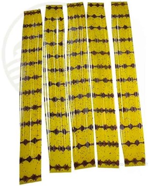 Sili Legs SEMPERFLI | PLC-PECHE.FR