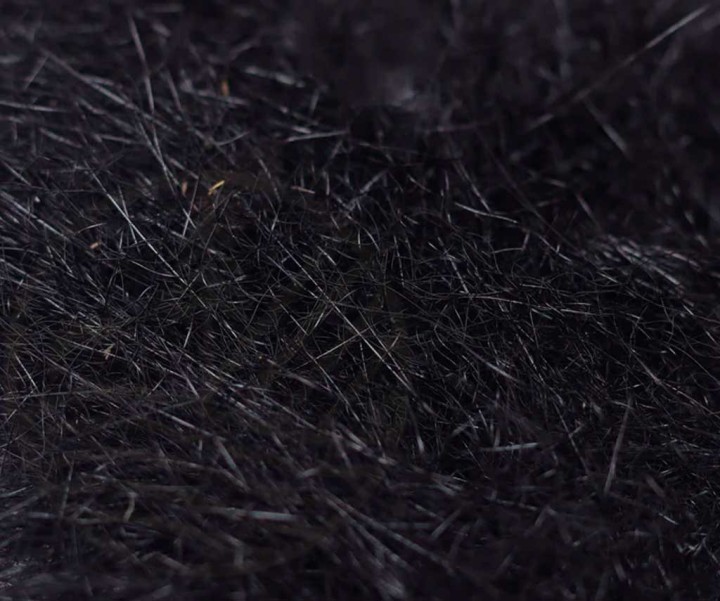 Seals Fur VENIARD | PLC-PECHE.FR