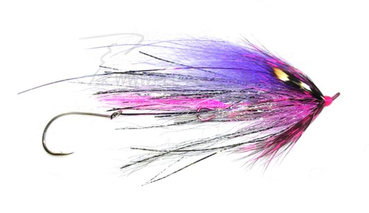 Mouche AQUAFLIES Steelhead Senoy's Predator Scandi Pink/Purple | PLC-PECHE.FR