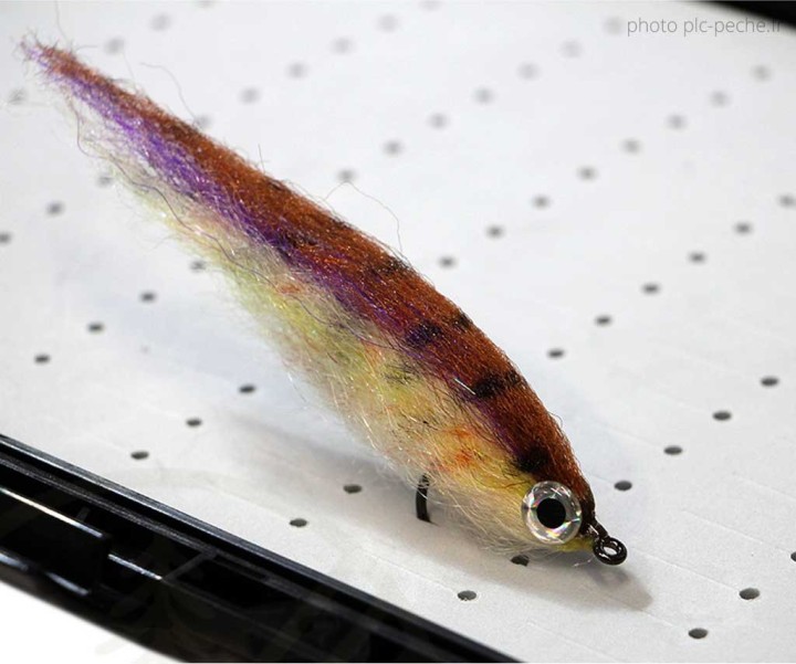 Boîte à Mouches XTREME Fly Box Taille S  | PLC-PECHE.FR