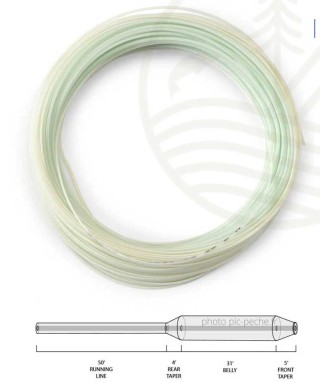 Soie ORVIS Clearwater WF Intermédiaire | PLC FLY SHOP