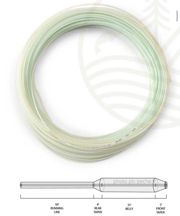 Soie ORVIS Clearwater WF Intermédiaire | PLC FLY SHOP