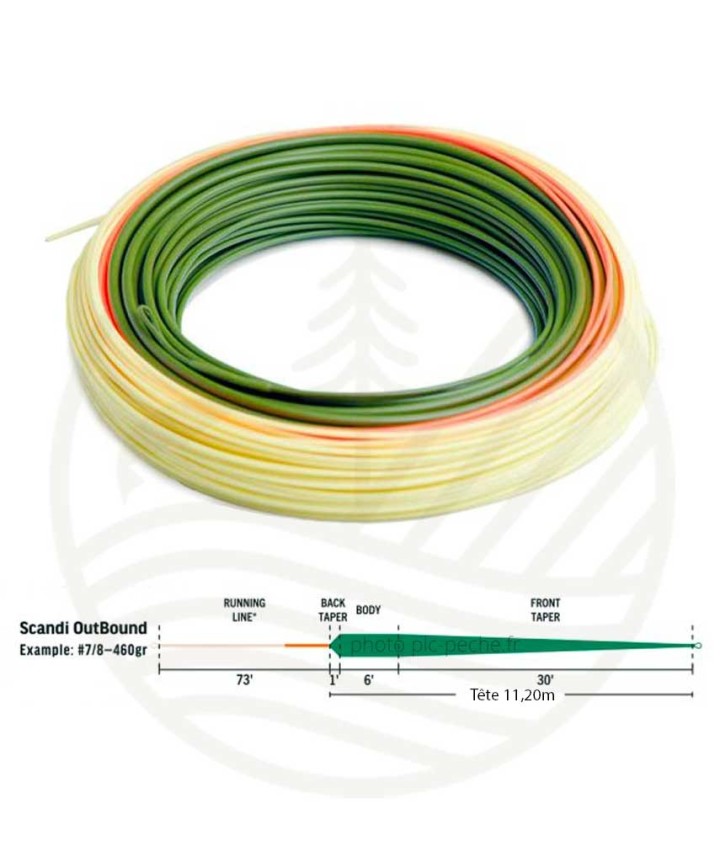 Soie RIO Elite Scandi Outbound Flottante | PLC-PECHE.FR