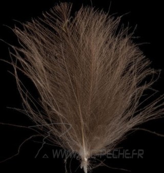 # 07 DARK BROWN