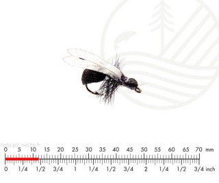 Mouche J:SON Winged Ant Black H16 | PLC-PECHE.FR