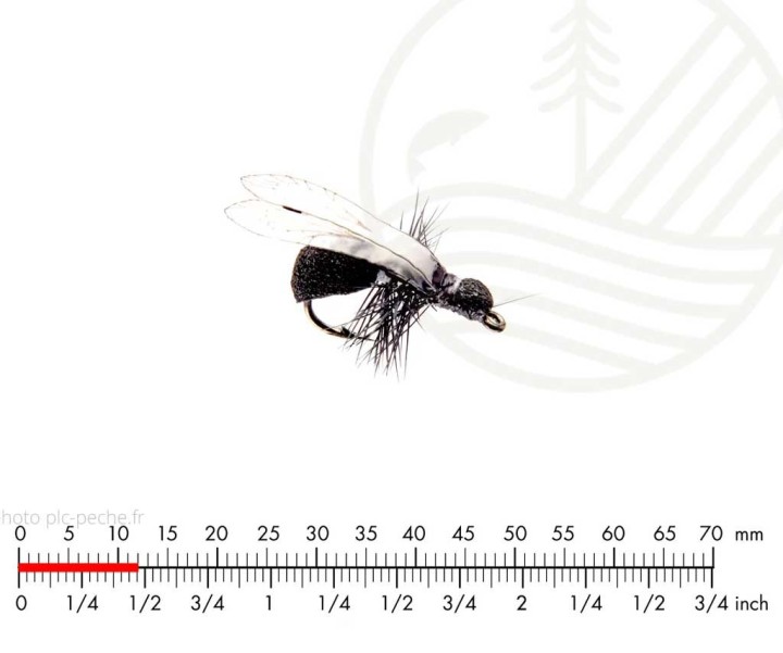 Mouche J:SON Winged Ant Black H16 | PLC-PECHE.FR