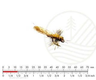 Mouche J:SON Stonefly Adult 5 Yellow H20| PLC-PECHE.FR