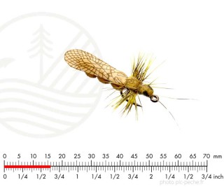 Mouche J:SON Stonefly Adult 4 Yellow H18| PLC-PECHE.FR