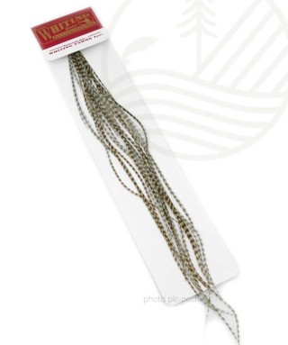 Plumes WHITING FARMS Microbarb Silver G2 | PLC-PECHE.FR