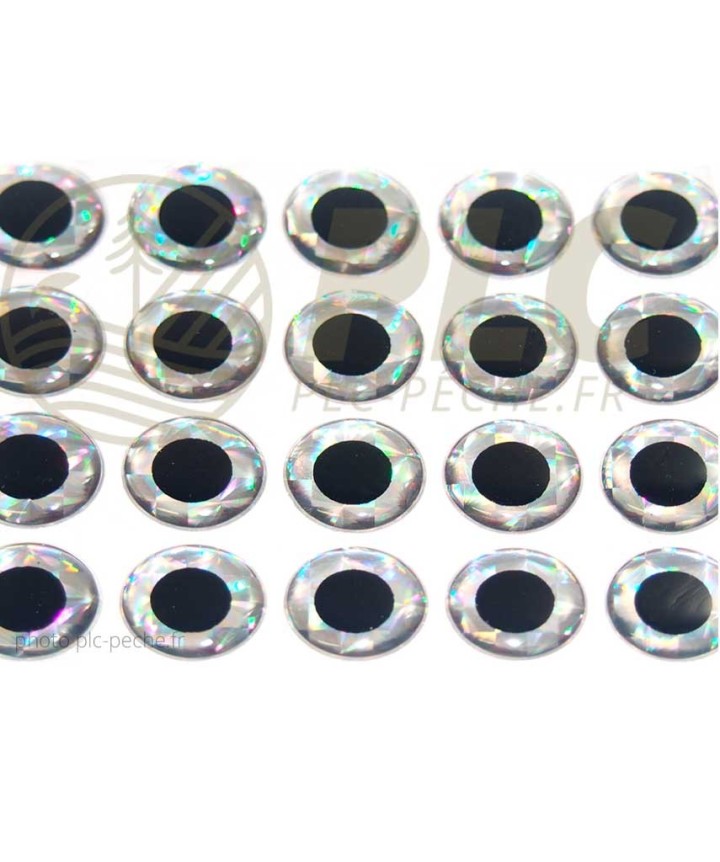 Yeux 3D Epoxy Holo Silver | PLC-PECHE.FR