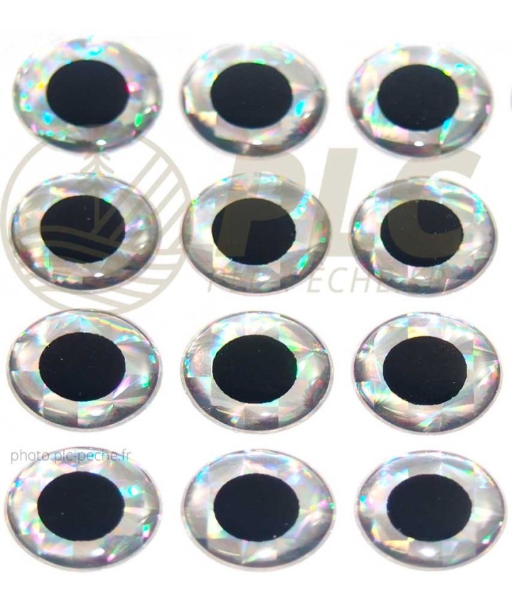 Yeux 3D Epoxy Holo Silver | PLC-PECHE.FR