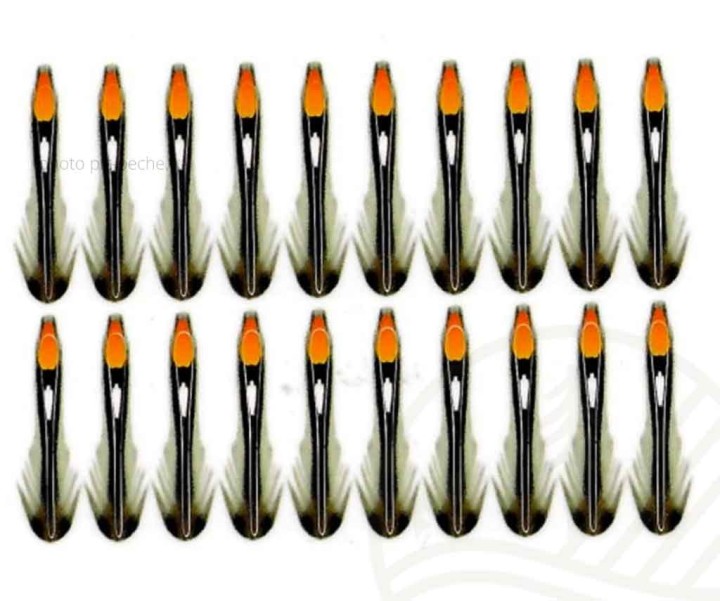 Plume Synthetic SEMPERFLI Jungle Cock 17mm Small Hot Orange | PLC-PECHE.FR