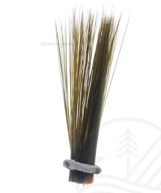 SEMPERFLI Tail Fibre Fibbets | PLC-PECHE.FR