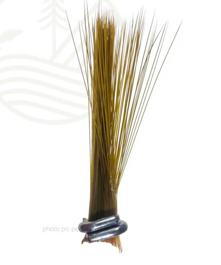 SEMPERFLI Tail Fibre Fibbets | PLC-PECHE.FR
