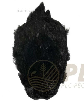 Fly Scene Hen Necks | PLC-PECHE.FR