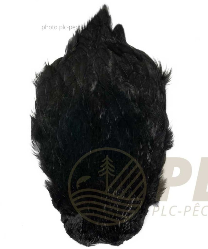 Fly Scene Hen Necks | PLC-PECHE.FR