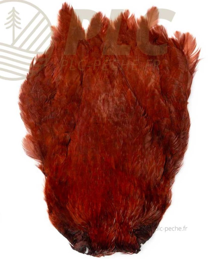 Fly Scene Hen Necks | PLC-PECHE.FR