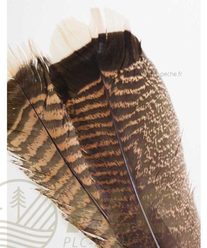 Plume FLY SCENE Mottled White Oak Tails | PLC-PECHE.FR