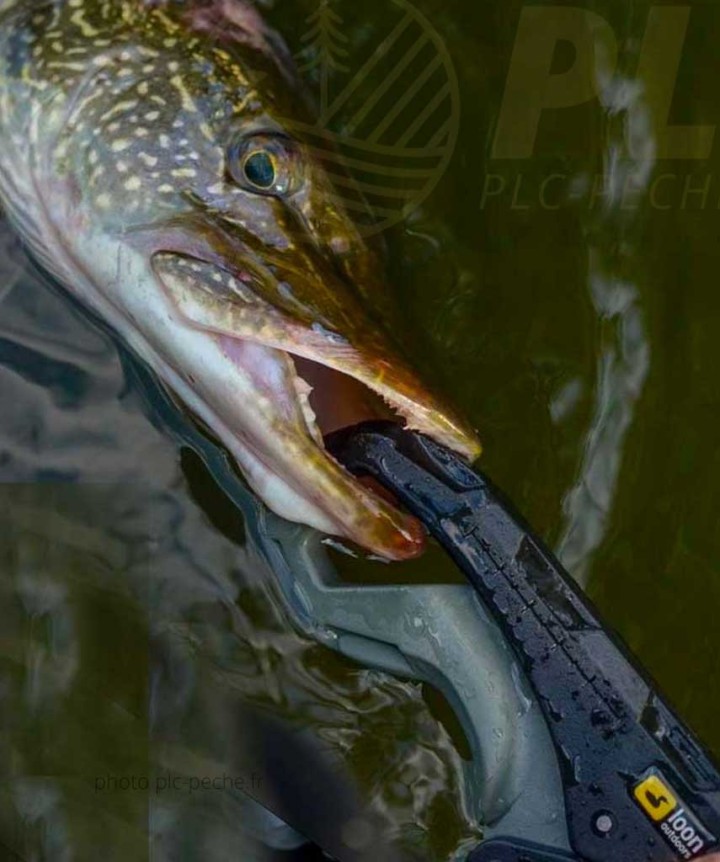 Pince LOON Apex Lip Gripper | PLC-PECHE.FR