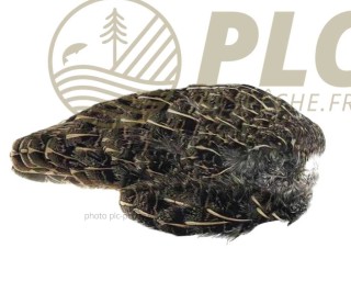 Aile de Perdrix MDC Grise | PLC-PECHE.FR