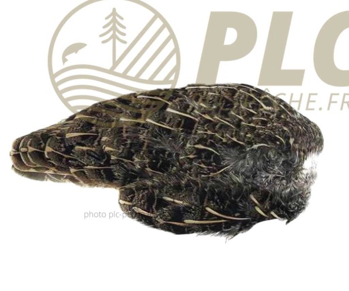Aile de Perdrix MDC Grise | PLC-PECHE.FR