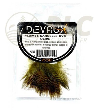 Plumes de Sarcelle DEVAUX | PLC-PECHE.FR