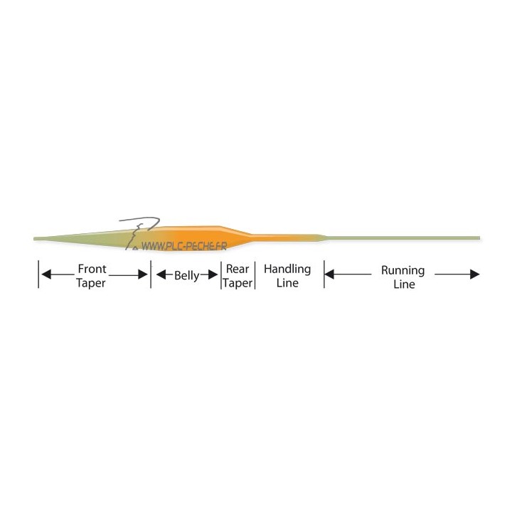 Profil Soie Scientific Anglers mastery SBT
