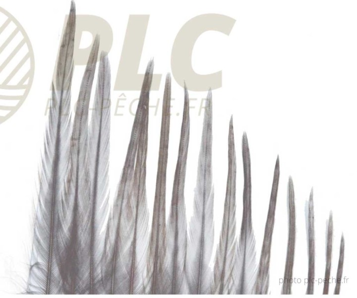 Plumes DEVAUX Hackles Genetic Grizzly | PLC-PECHE.FR