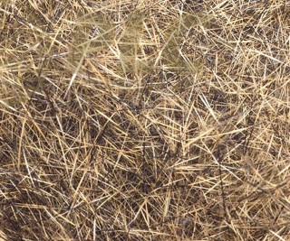 Dubbing de Lievre DEVAUX Naturel
