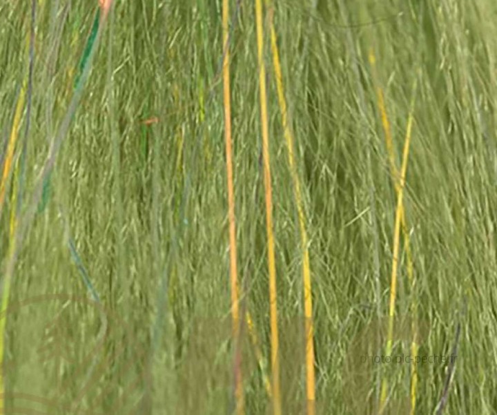 Fibre DEVAUX MI 20 | PLC-PECHE.FR