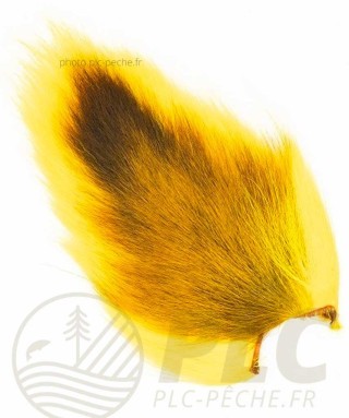 Doetail VENIARD