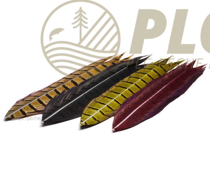 Queue de Faisan DEVAUX | PLC FLY SHOP