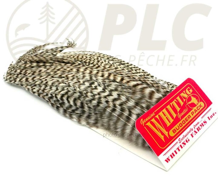 Plumes Whiting Bugger Pack Grizzly | PLC-PECHE.FR