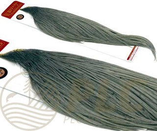 Demi-Cou WHITING Farms Bronze | PLC-PECHE.FR