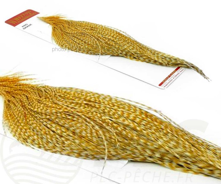 Demi-Cou WHITING Farms Pro Grade | PLC-PECHE.FR